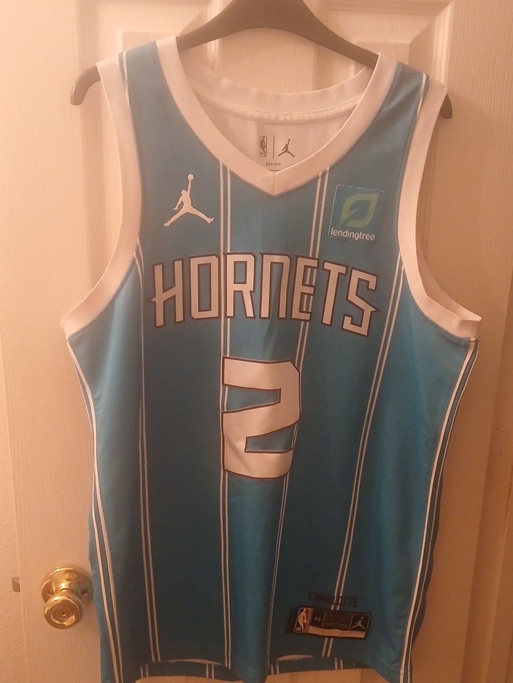 la Melo Ball Charlotte Hornets